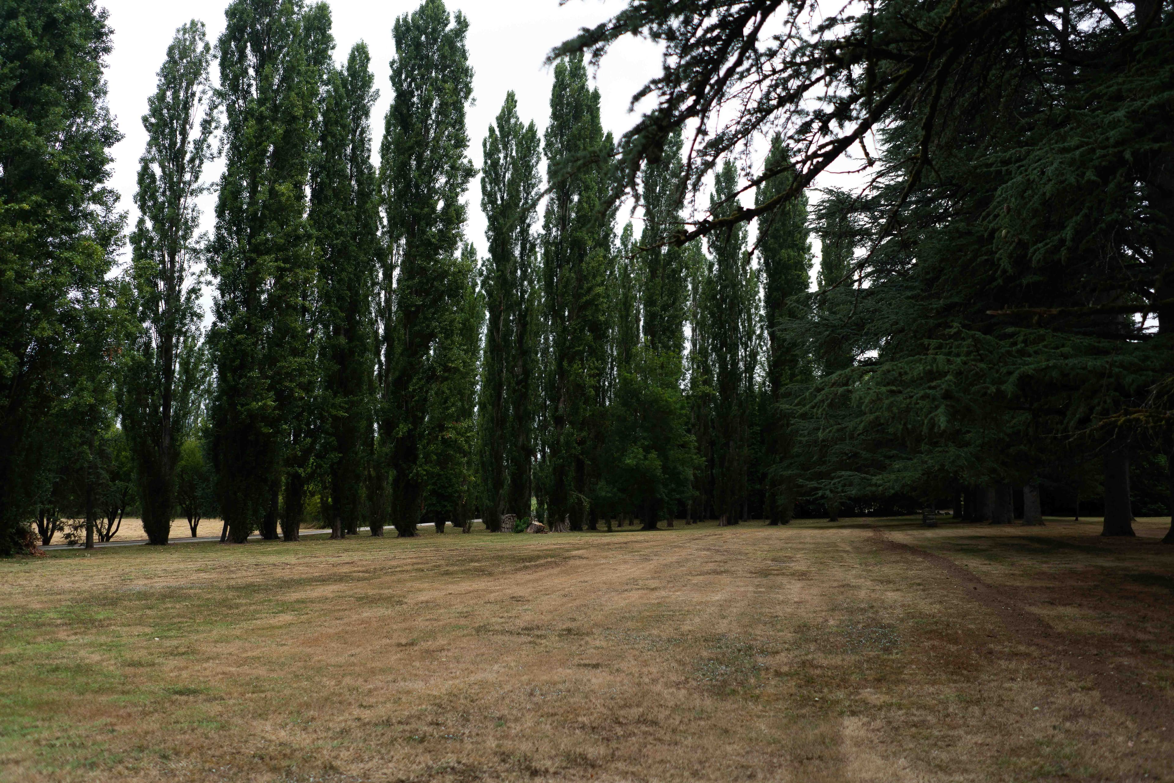 Gary & Micia wedding photo 14