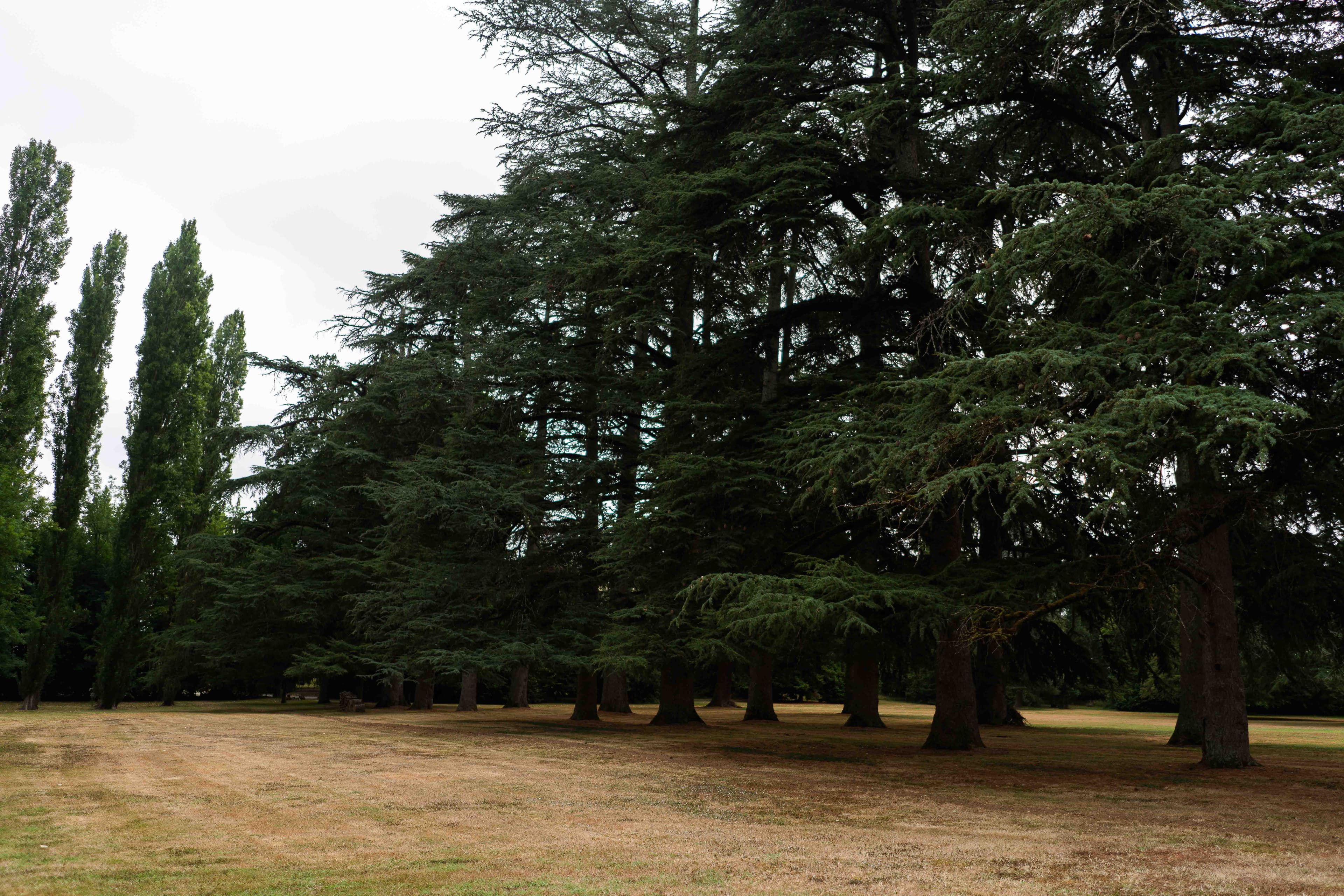 Gary & Micia wedding photo 17