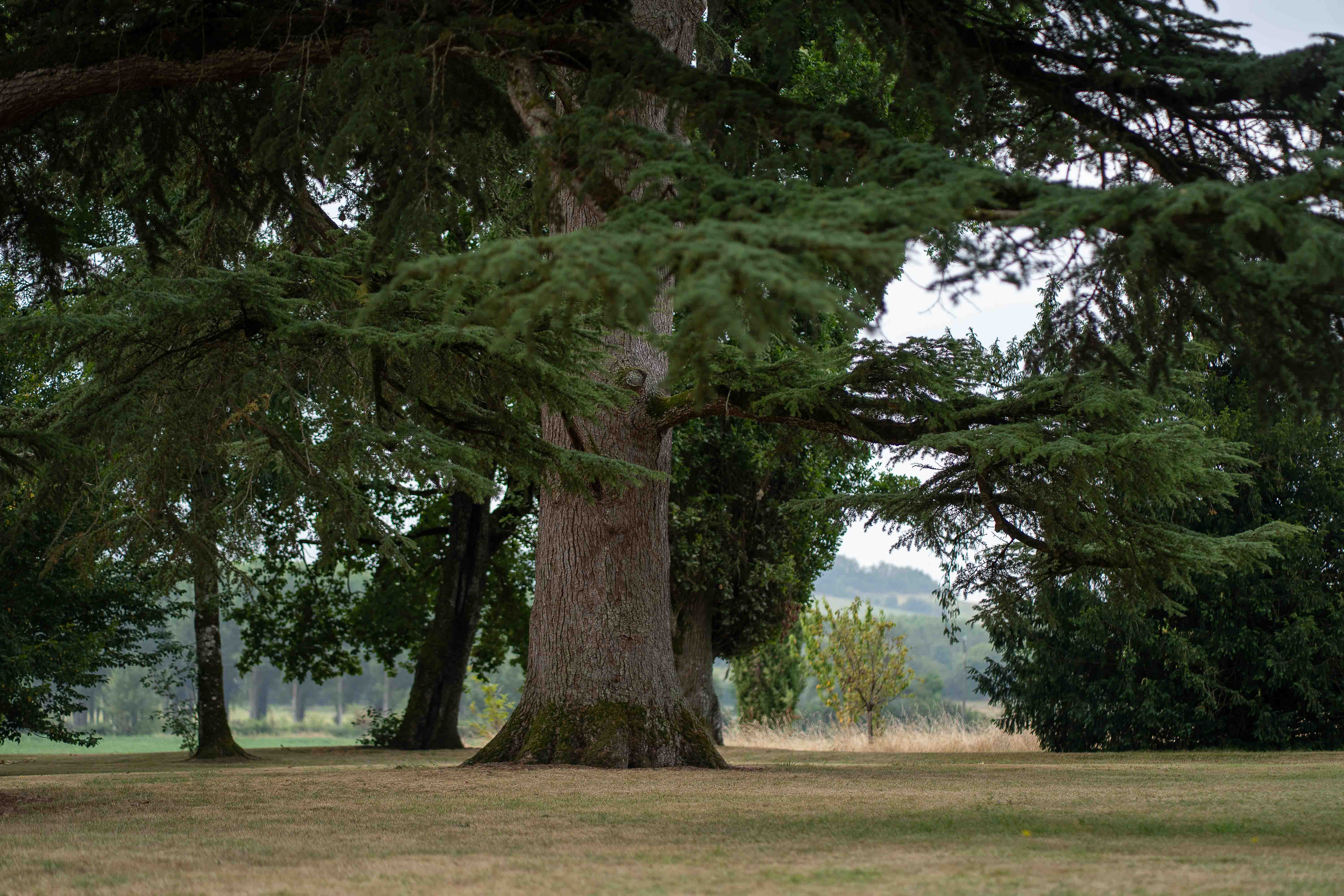 Gary & Micia wedding photo 54