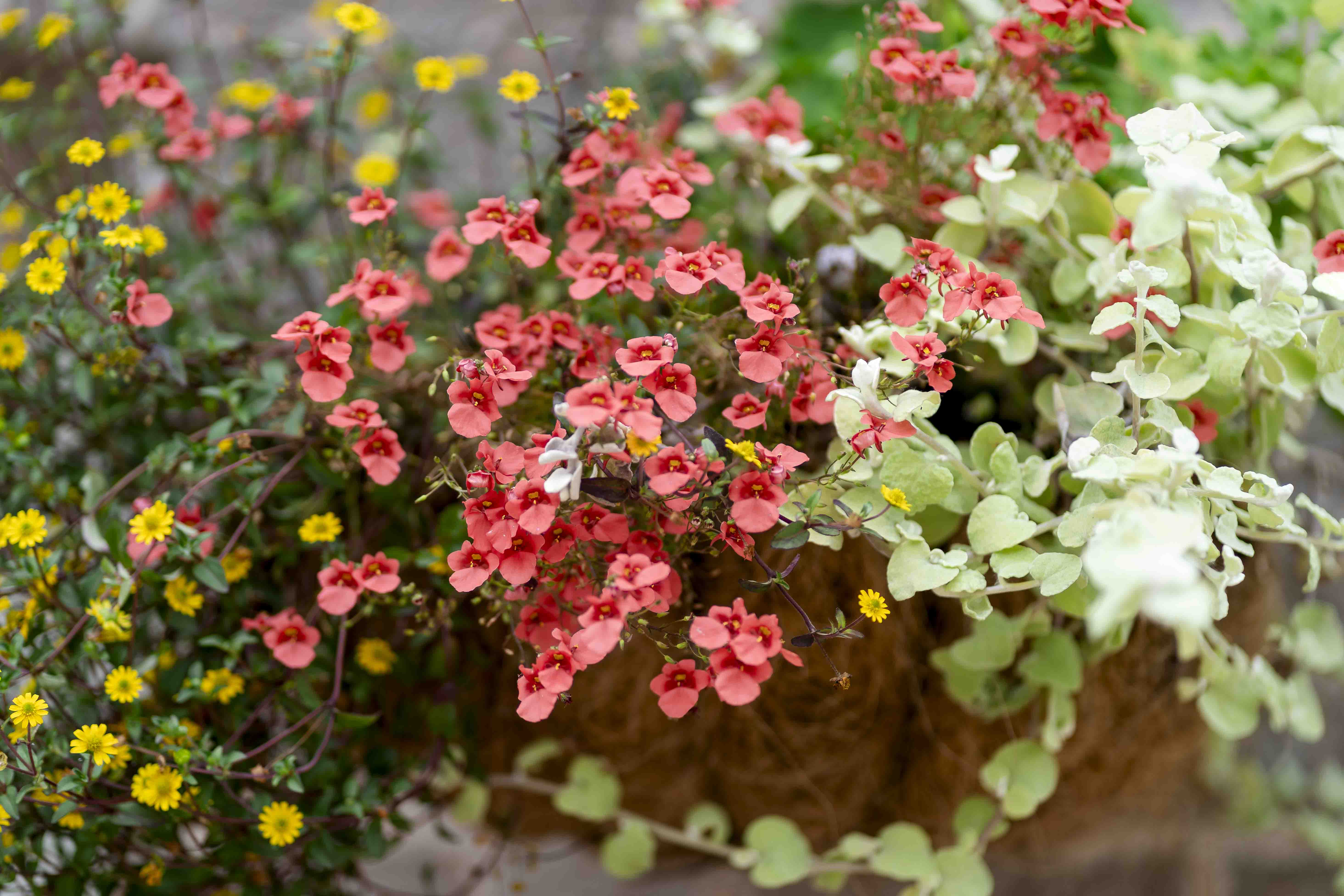 Kelly & Greg wedding photo 22