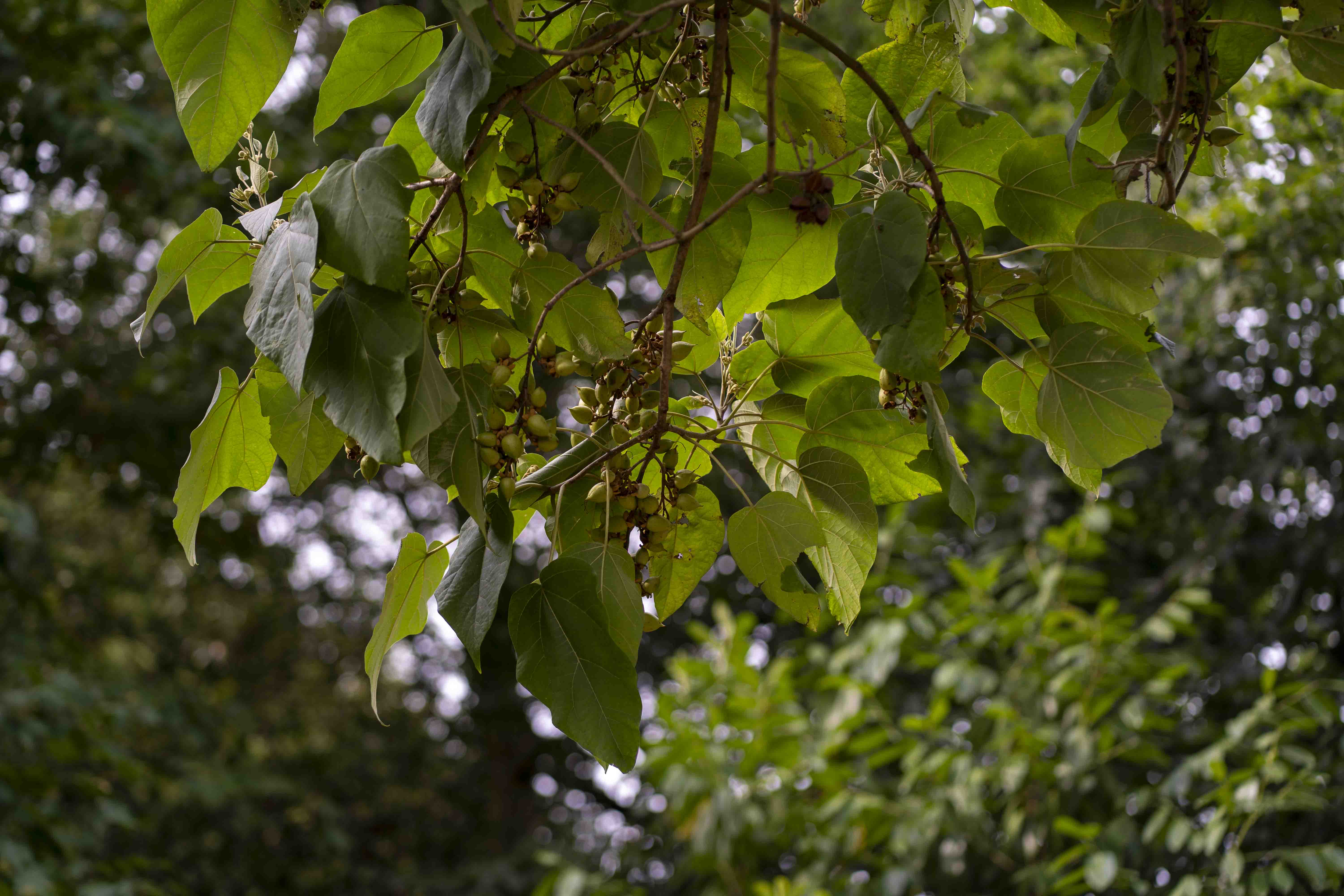 Kelly & Greg wedding photo 57